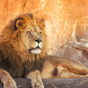 Zoo de Granby