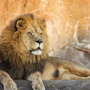 Granby Zoo