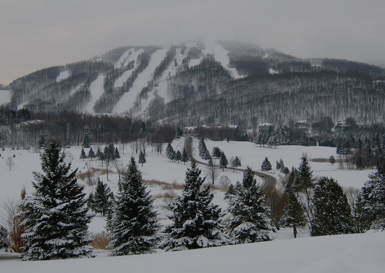 Domaine Château Bromont